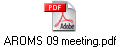 AROMS 09 meeting.pdf